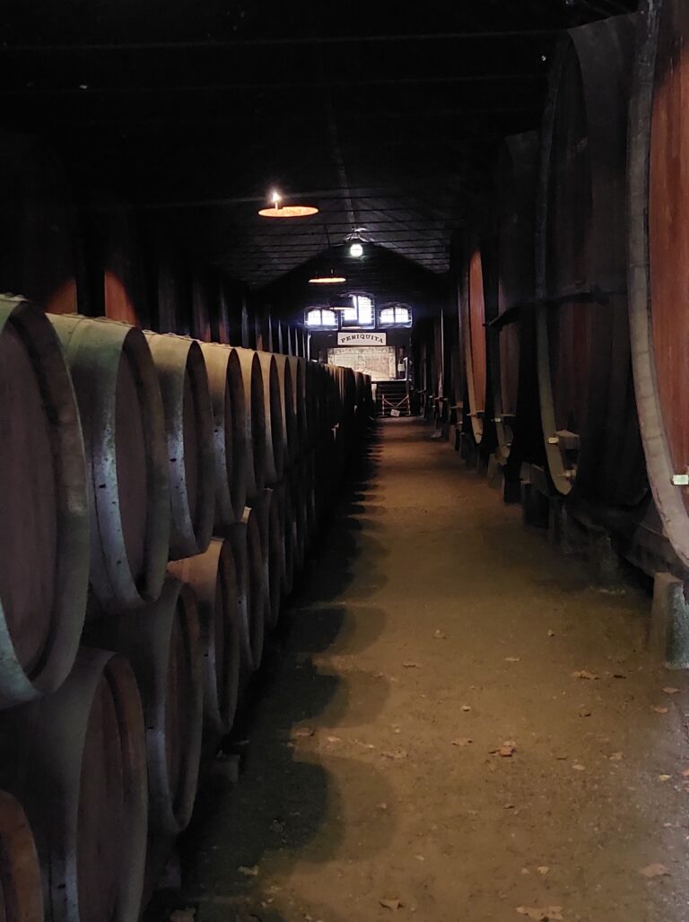 Wine Cellar Wine Tasting Private Tour in Arrabida